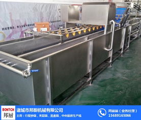 果蔬清洗機用途 貴陽(yáng)果蔬清洗機 邦廚機械